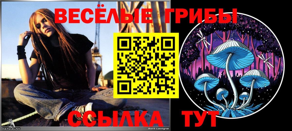 Бузулук  Галлюциногенные грибы ЛСД  Псилоцибиновые грибы Magic Shrooms  Вход с VPN 